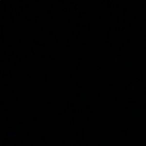 Meet your Posher, Salina